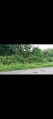Propiedad en Upala  en Upala, Alajuela — 150 000 000 ₡ - Foto 4 de 17