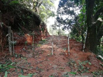 Se vende Lote en Zona Montañosa de Quepos en Naranjito, Quepos, Puntarenas — 280 000 000 ₡ - Foto 4 de 20