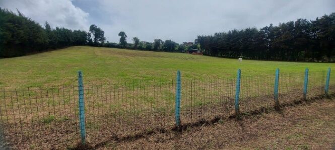 MLS-25-1775 LS VENTA LOTE SAN NICOLAS CARTAGO en San Nicolás, Cartago — ₡ 225 000 000