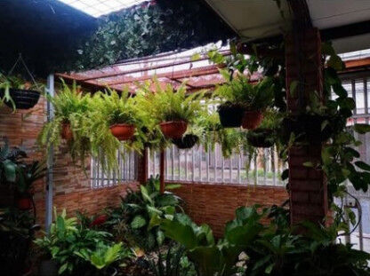 OPORTUNIDAD SE VENDE CASA - PRECIO NEGOCIABLE en Alajuela — ₡ 65 000 000