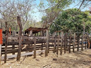 Venta Finca Ganadera Palmira Cañas Guanacaste 53 ha. en Palmira, Cañas, Guanacaste — 319 000 000 ₡ - Foto 5 de 20