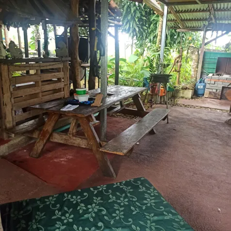 Terreno con casa y 4 apartamentos en Pital, San Carlos, Alajuela — ₡ 56 000 000 - Foto 3 de 15