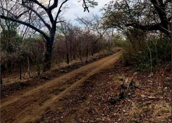 VENTA DE LOTE, GUANACASTE, SANTA CRUZ - 9589397 en Diriá, Santa Cruz, Guanacaste — $25,000 - Foto 4 de 6