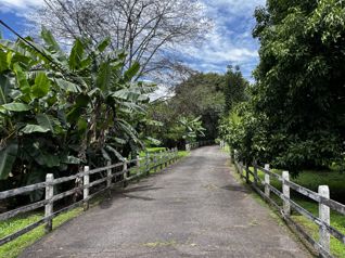 Farm in La Garita, Alajuela - Photo 2 of 3