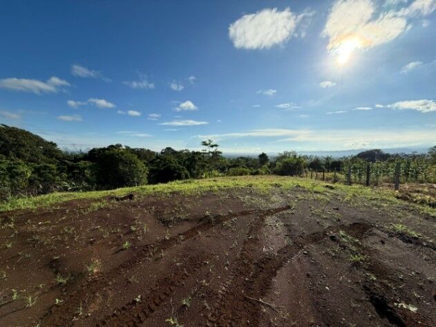 Land Plot on Sale en La Fortuna, San Carlos, Alajuela — ₡ 89 530 000