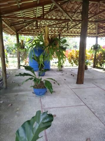 "Quinta Tropical: Viviendo en Armonía con la Naturaleza en Alajuela Orotina" en El Mastate, Orotina, Alajuela — $1,655,000