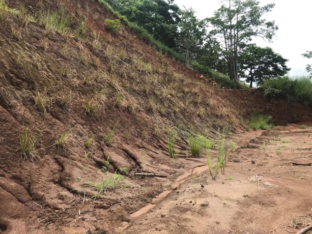 Venta de lote #10, Bario Jesús, Atenas en Atenas, Alajuela — $80,000 - Foto 2 de 12