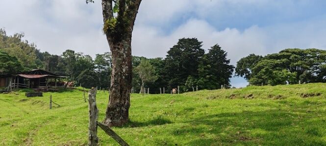 VENTA DE LOTE  93 MIL METROS EN SAN JOSÉ DE LA MONTAÑA. en San José de La Montaña, Barva, Heredia — $1,050,000