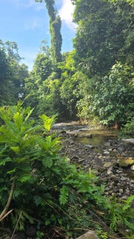 Lote con Río y Bosque en La Fortuna a 3km  en La Fortuna, San Carlos, Alajuela — ₡ 45 900 000