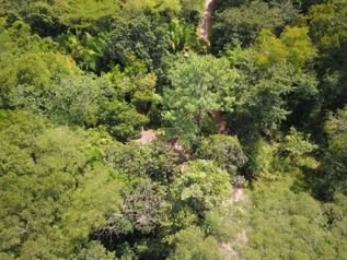 Hermosa finca ubicada en una comunidad rural, alejada del ruido pero cercana a servicios y playas. in Zapotal, Nandayure, Guanacaste — 131 600 000 ₡ - Photo 5 of 13