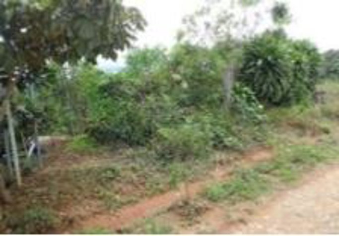 LOTE EN VENTA, REMATE BANCARIO, PLATANARES PÉREZ ZELEDÓN in Platanares, Pérez Zeledón, San José — $7,419