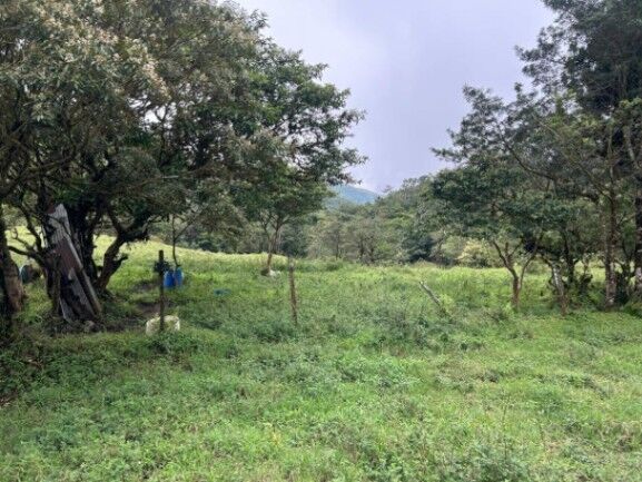 MLS-26-19 LS VENTA LOTE PALMITAL PUNTARENAS en Puntarenas — ₡ 25 775 000
