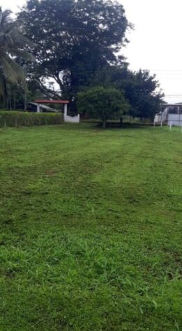 VENTA DE LOTE, ALAJUELA, OROTINA CENTRO - 9984707 in Orotina, Alajuela — ₡ 55 000 000