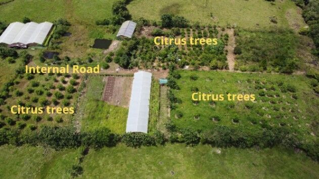 FINCA AGRÍCOLA EN VENTA CAJÓN, PÉREZ ZELEDÓN, COSTA RICA (42,841 m²)  in Cajón, Pérez Zeledón, San José — $299,999