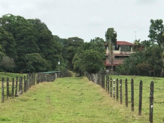 MLS-25-1082 VENTA FINCA CON CASA GUACIMO LIMON in Guácimo, Limón — ₡ 180 000 000