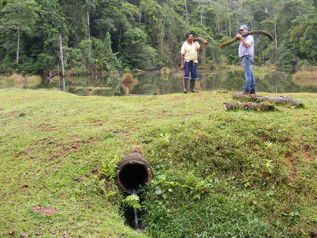 Venta Finca Chamorro Cutris San Carlos en Cutris, San Carlos, Alajuela — $3,000,000 - Foto 5 de 20