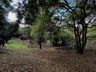 Venta de propiedad de 5,018 m² con Casa Loft en Residencial in San Pedro, Turrubares, San José — 41 200 000 ₡ - Photo 5 of 20