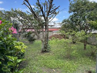 Venta Lote comercial con casa  Guadalupe San José in Guadalupe, Goicoechea, San José — 175 000 000 ₡ - Photo 5 of 17