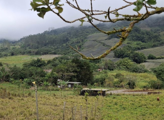 Se vende propiedad de 3.600 m2 in Piedades Norte, San Ramón, Alajuela — ₡ 50 000 000