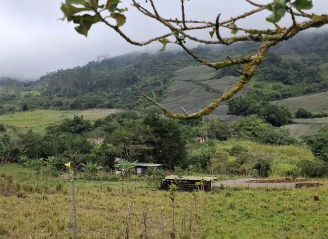 Property for sale of 3,600 m2 in Piedades Norte, San Ramón, Alajuela — ₡ 50 000 000