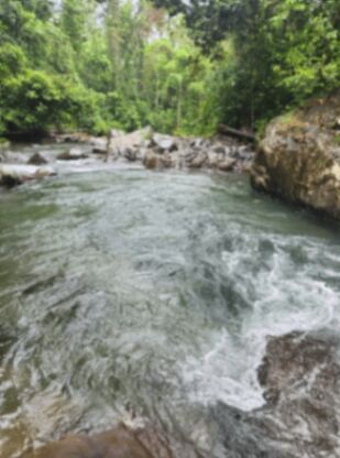 Beatiful Property in La Fortuna en La Fortuna, San Carlos, Alajuela — $70