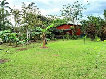 Farm For Sale Upala, Upala, Alajuela