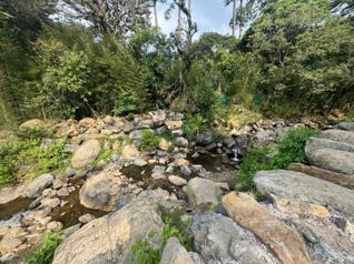 REBAJA !!!! HERMOSO LOTE EN SAN ANTONIO DE ESCAZU $250,000 in San Antonio, Escazú, San José — $250,000 - Photo 2 of 19