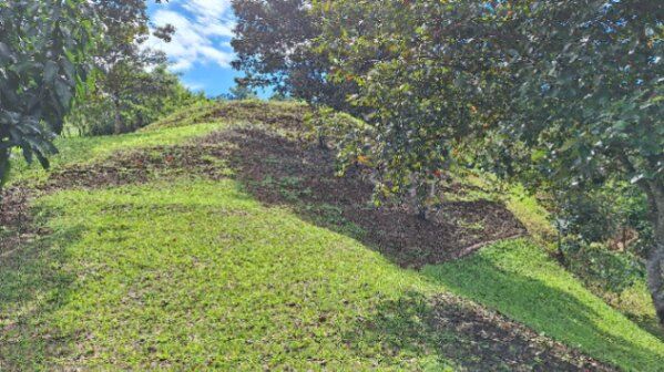 LOTE SOSTENIBLE EN VENTA EN LA PRIVACIDAD DE PÉREZ ZELEDÓN, ROSARIO DE PACUAR in San Isidro De El General, Pérez Zeledón, San José — $110,000