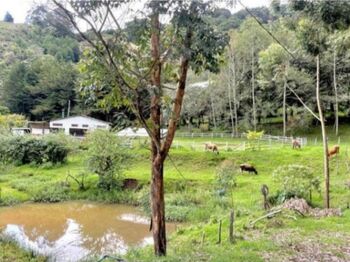 Venta de Finca con Hermosa Casa Campestre en Copey de Dota. RAH 26-74 PRECIO REBAJADO in Copey, Dota, San José — 125 000 000 ₡ - Photo 5 of 6