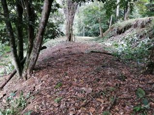 Jardines del Morete