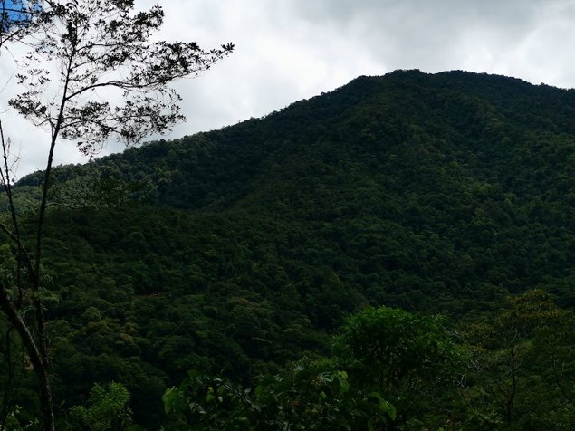 Finca en Purisil, Orosi, Costa Rica. Incomparable in Orosi, Paraíso, Cartago — $4,950,000 - Photo 3 of 8
