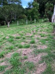 Venta de lote # 2 en Rio Grande, Atenas en Atenas, Alajuela — 25 000 000 ₡ - Foto 2 de 3