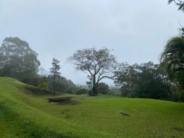 VENTA DE LOTE LISTO PARA CONSTRUIR EN ALAJUELA POAS SAN RAFAEL en San Rafael, Poás, Alajuela — ₡ 83 000 000
