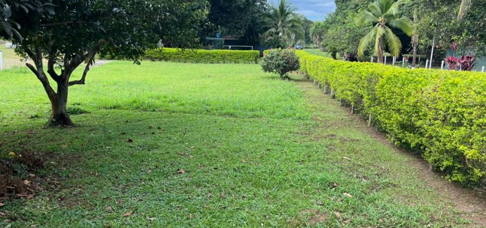 VENTA DE LOTE DE USO MIXTO, ALAJUELA, OROTINA en Orotina, Alajuela — ₡ 55 000 000