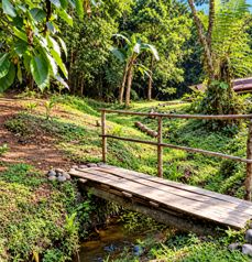 VENTA / Impresionante Finca en Guápiles, Pococí, Limón en Guápiles, Pococí, Limón — $210,000 - Foto 2 de 33