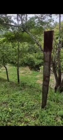 DE OPORTUNIDAD 4 BELLOS LOTES EN MANZANILLO, PUNTARENAS.  en Manzanillo, Puntarenas — ₡ 3 000 000