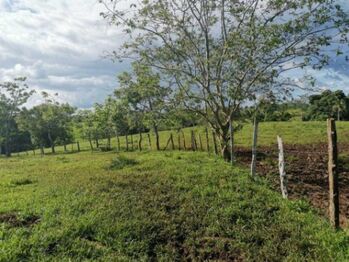 MLS-25-1097 VENTA FINCA POCOSOL SAN CARLOS en Pocosol, San Carlos, Alajuela — $1,800,000 - Foto 5 de 10