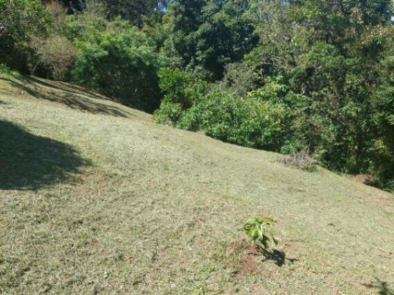 Vendo Lote en Tarbaca de Aserri in Tarbaca, Aserrí, San José — ₡ 38 000 000