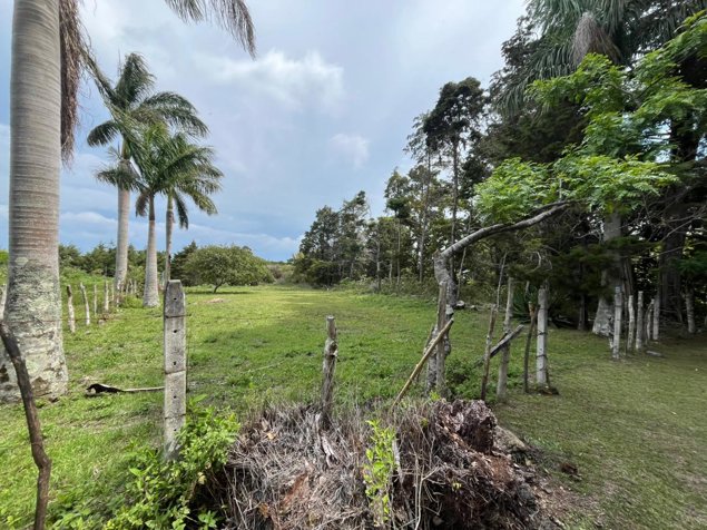 Lote  en Residencial Aves del Paraíso San Rafael en San Rafael, Heredia — ₡ 116 000 000 - Foto 2 de 10