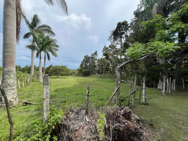 Lote  en Residencial Aves del Paraíso San Rafael en San Rafael, Heredia — ₡ 116 000 000 - Foto 2 de 10