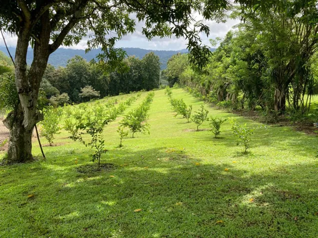VENTA DE QUINTA, PUNTARENAS, GARABITO, TARCOLES. en Jacó, Garabito, Puntarenas — $325,000 - Foto 2 de 11