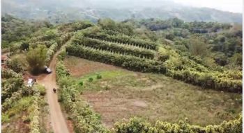 Se Vende Útil Finca Pollera en San Ramón de Alajuela.