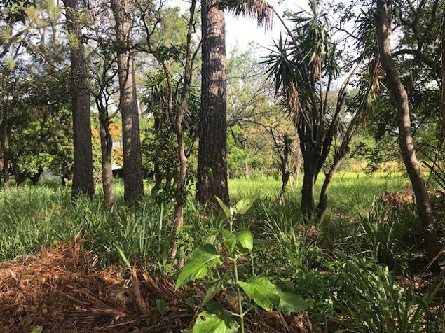 LOT ,LAND EAST SANTA ANA SALITRAL ST in Salitral, Santa Ana, San José — $707,520 - Photo 2 of 8