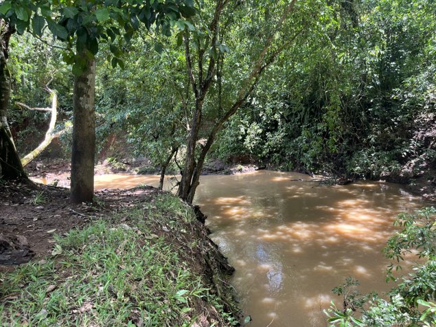 Finca Ganadera lista para producir en San Rafael, Guatuso, Alajuela — ₡ 384 000 000 - Foto 2 de 23