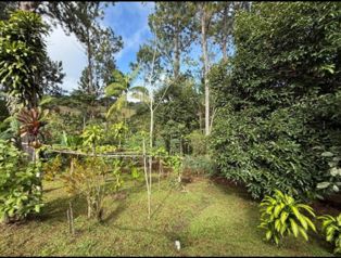Se Vende Bella Propiedad y Casa en Agua Buena, Coto Brus.