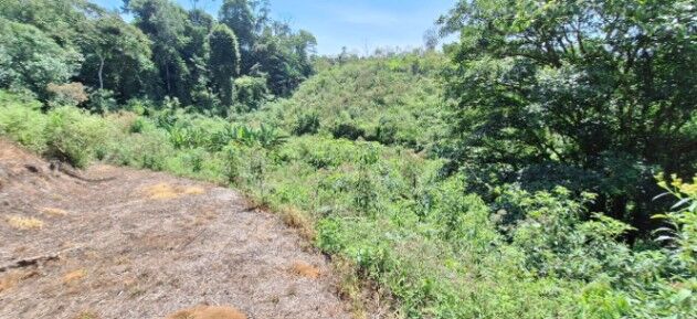 Propiedad el La  Manchuria  in Limoncito, Coto Brus, Puntarenas — $30,000