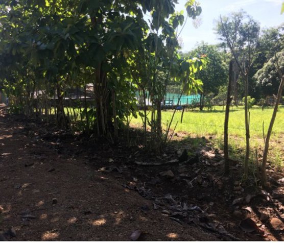 Terreno para Quinta en La Ceiba 7100m2 en La Ceiba, Orotina, Alajuela — $215,000