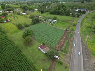 Terreno comercial en La Fortuna | 5.000 m² sobre corredor vial en La Fortuna, San Carlos, Alajuela — 120 000 000 ₡ - Foto 2 de 14