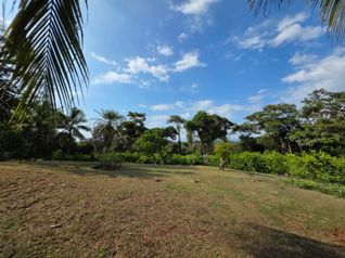 Quinta recreacional en venta lista para desarrollar en  La Ceiba en La Ceiba, Orotina, Alajuela — 45 000 000 ₡ - Foto 3 de 22