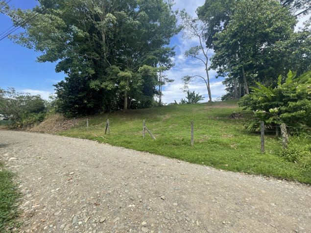 OPORTUNIDAD! LOTE SOBRE RUTA 36 EN COMADRE DE CAHUITA DE LIMON en Cahuita, Talamanca, Limón — ₡ 30 000 000